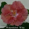 157_-_Watermelon_Wine.jpg