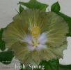 061_-_Irish_Spring.jpg
