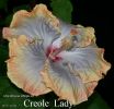 086_-_Creole_Lady.jpg