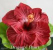 089_-_Dragon's_Heart.jpg