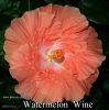 138_-_Watermelon_Wine.jpg