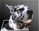 dogsmile-3D.jpg